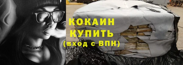 дживик Белокуриха