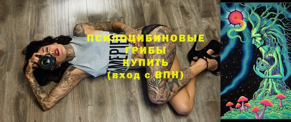 гидра Беломорск