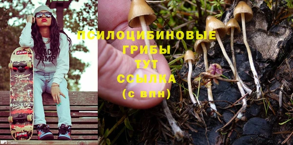 дживик Белокуриха