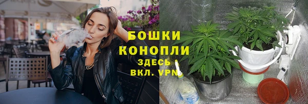 дживик Белокуриха