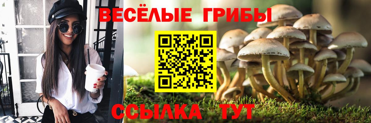 Луховицы  Псилоцибиновые грибы GOLDEN TEACHER  Галлюциногенные грибы GOLDEN TEACHER  Вход с VPN 